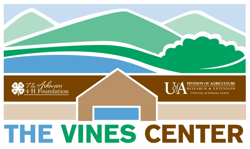 Logo for The Vines Center of Little Rock